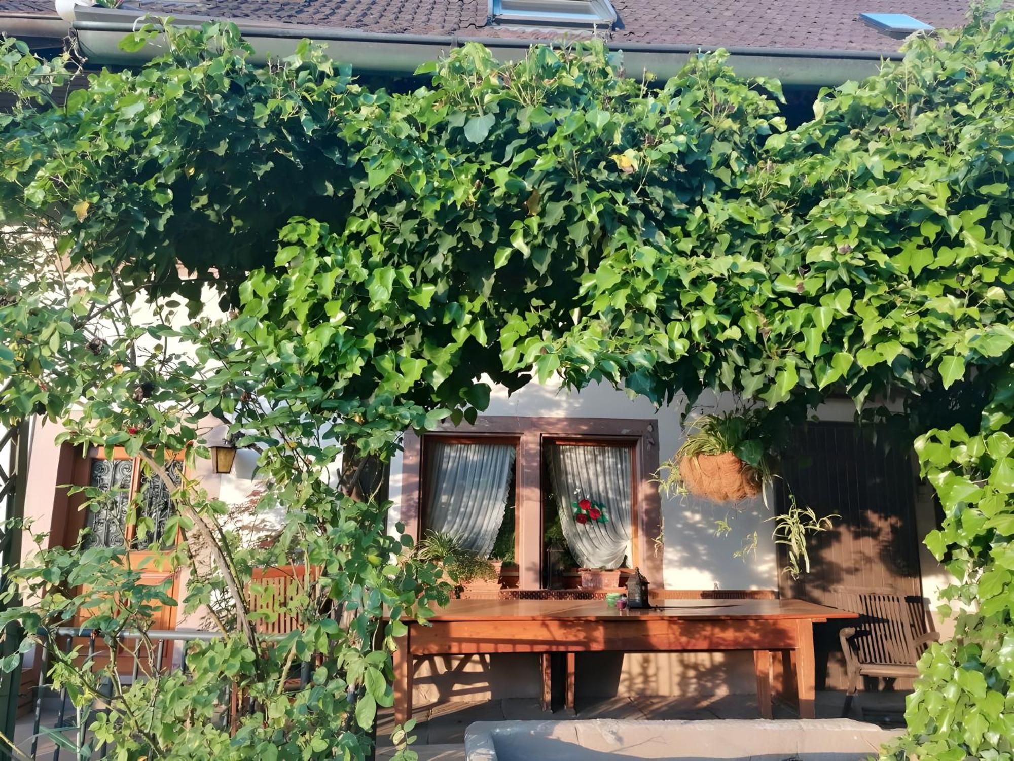 Schuttertal Room In Guest Room - Double Room Apple Blossom מראה חיצוני תמונה